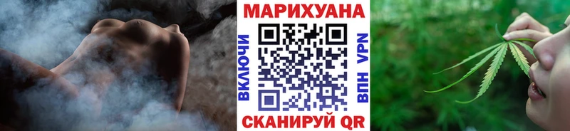 Канабис семена  Горняк 